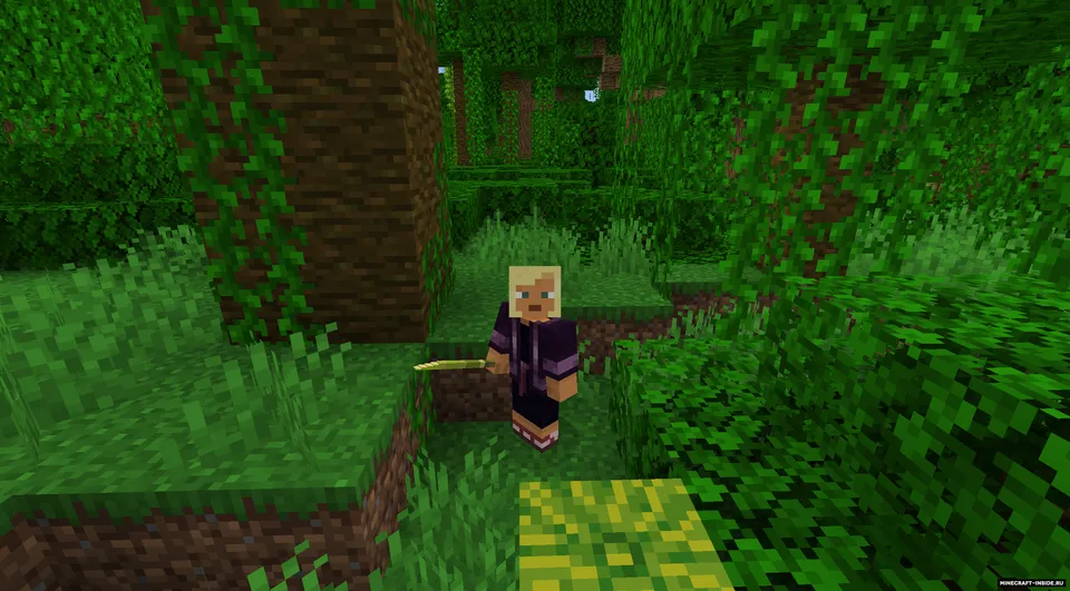 SASSOT — Minecraft mod, rasm 3