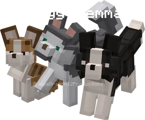 Doggy Dilemmas