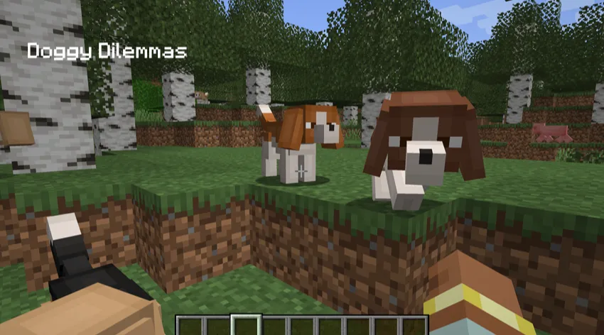 Doggy Dilemmas — Minecraft mod, rasm 3