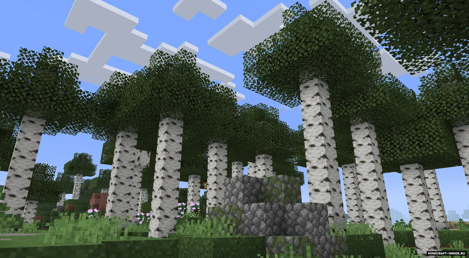 Not Just Biomes — Minecraft mod, rasm 4
