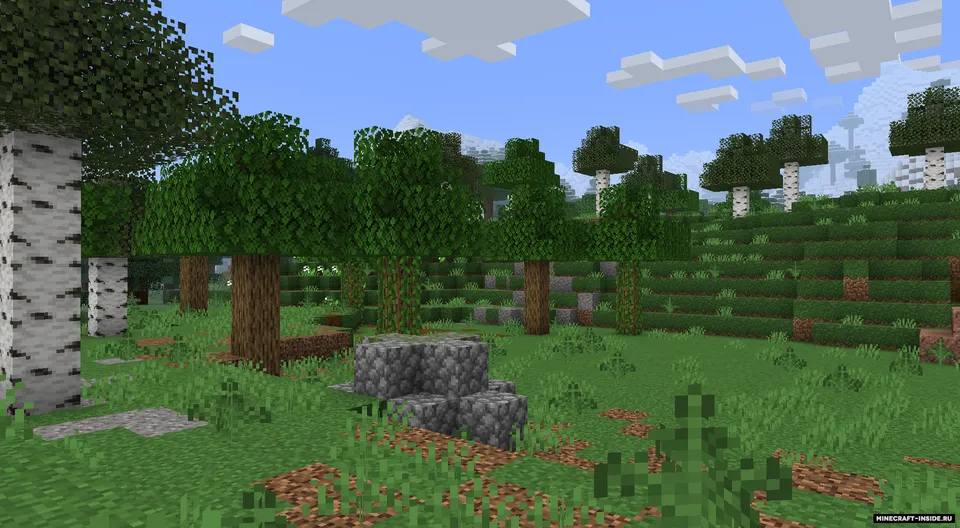 Not Just Biomes — Minecraft mod, rasm 5