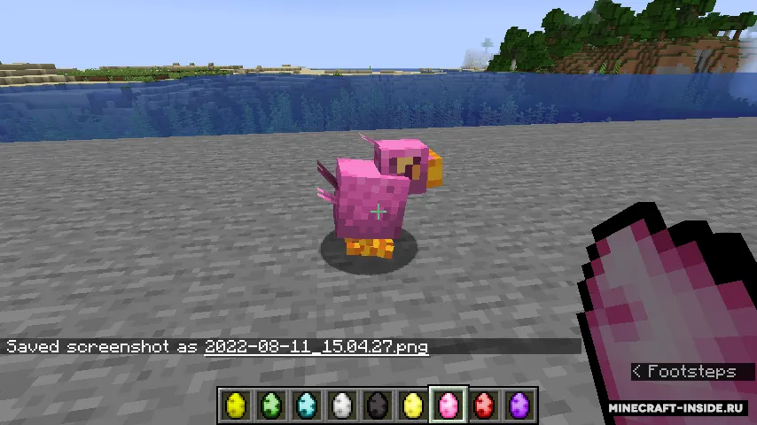 DePhoegons' Chocobos — Minecraft mod, rasm 3