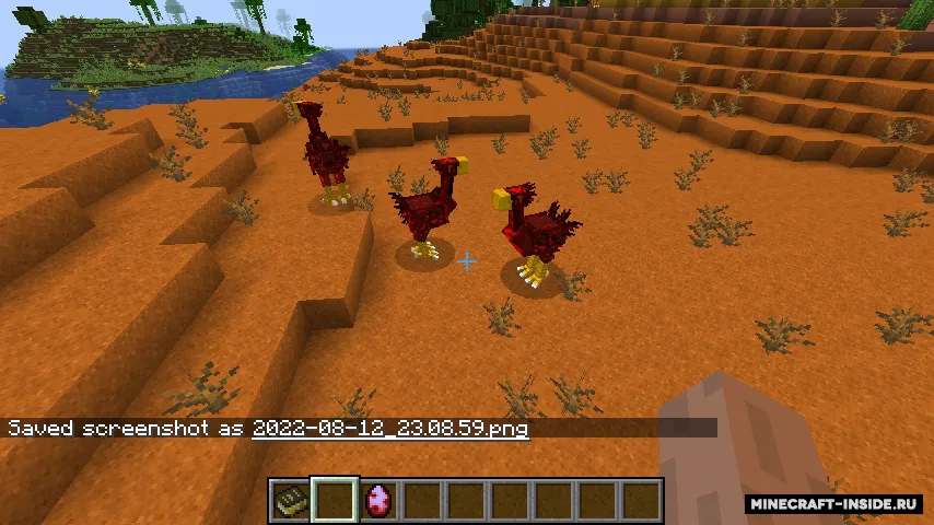 DePhoegons' Chocobos — Minecraft mod, rasm 8