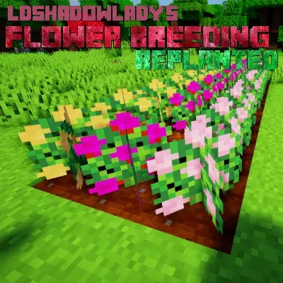 Flower Breeding: Replanted