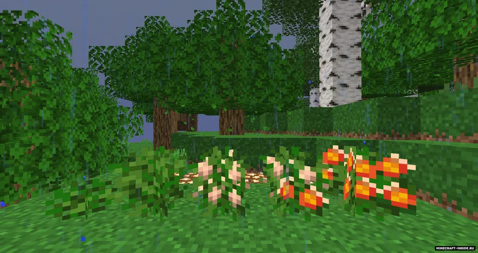 Delightful — Minecraft mod, rasm 2