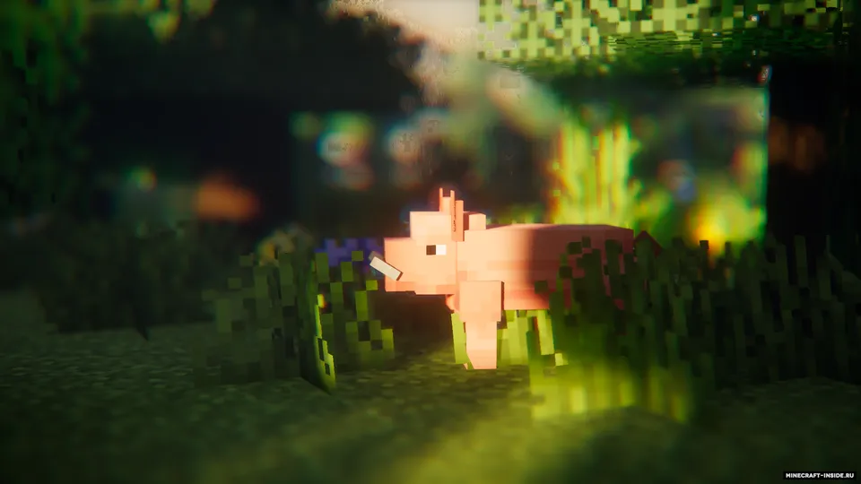 Entity Model Features (EMF) — Minecraft mod, rasm 4