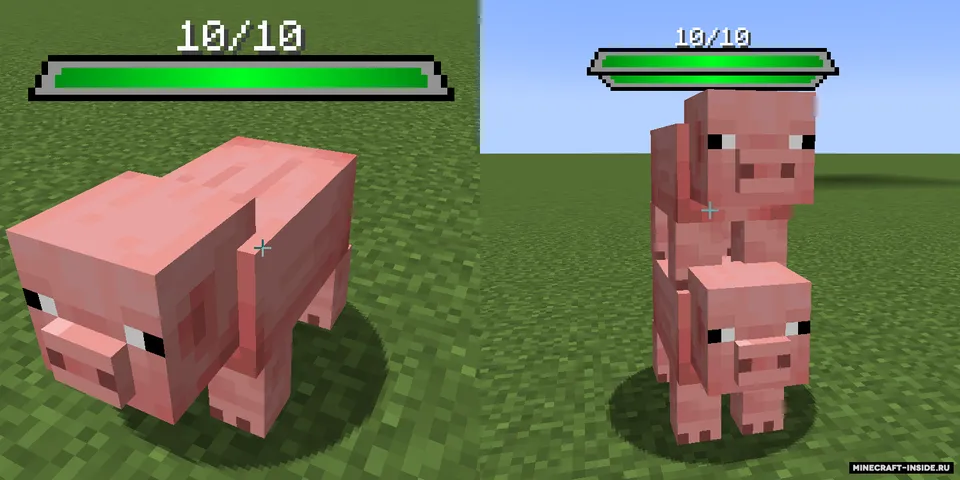 Provi's Health Bars — Minecraft mod, rasm 3