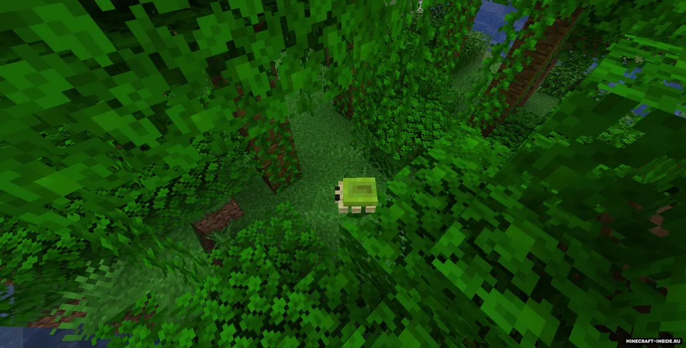 Bugs Aplenty — Minecraft mod, rasm 8