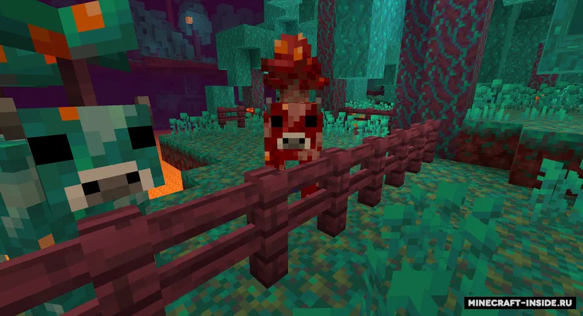 Nether Mooshrooms — Minecraft mod, rasm 2