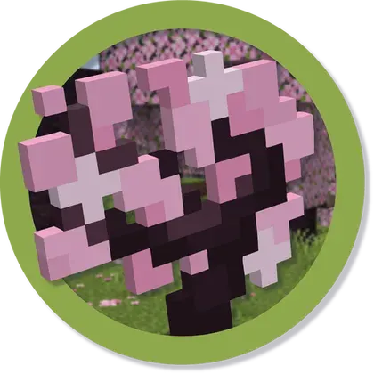 Biome Backport