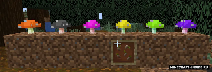 Magic mushrooms — Minecraft mod, rasm 2