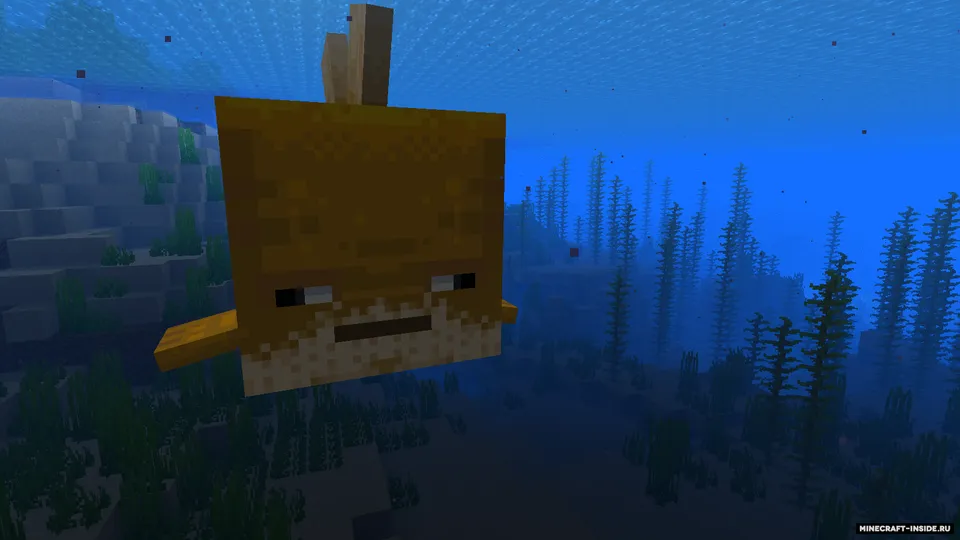 Bufferfish — Minecraft mod, rasm 3