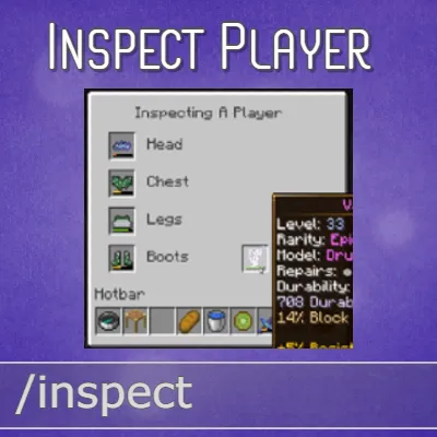 Inspect Player — Minecraft mod, rasm 1