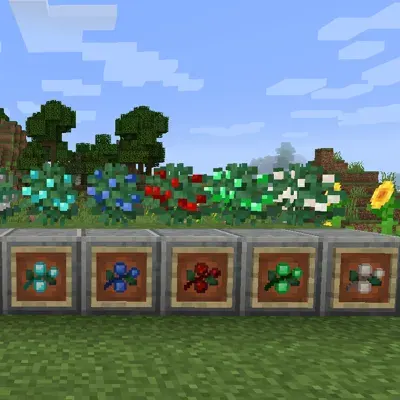 Berries Resources