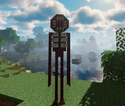 Doors in minecraft