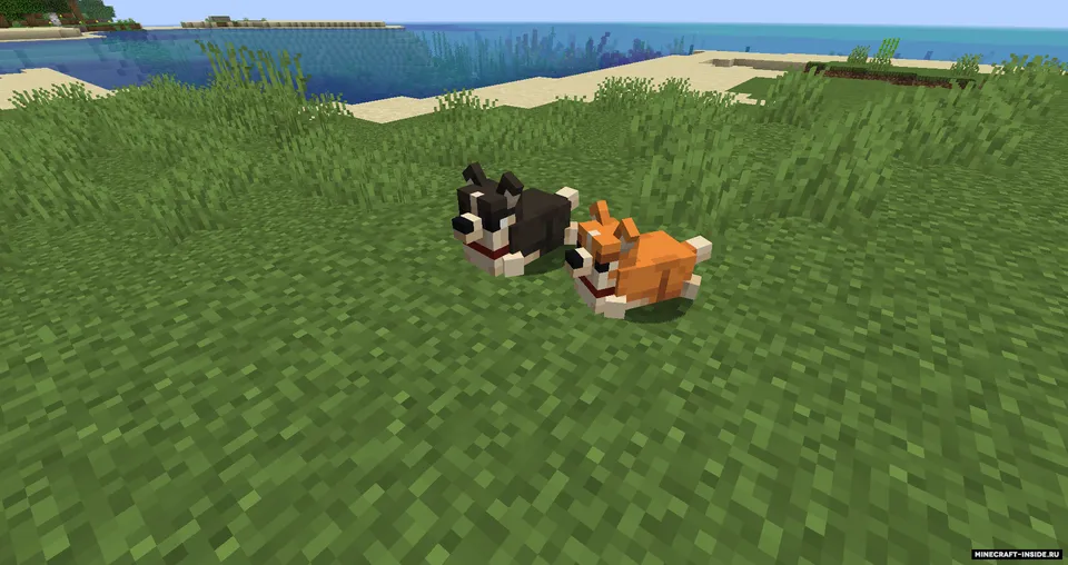 Ambient Additions — Minecraft mod, rasm 6