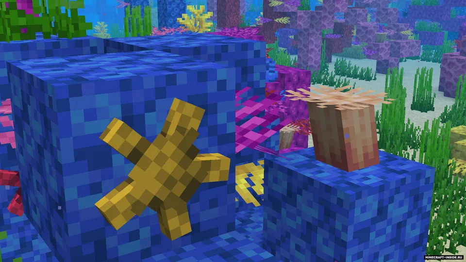 Angling — Minecraft mod, rasm 6