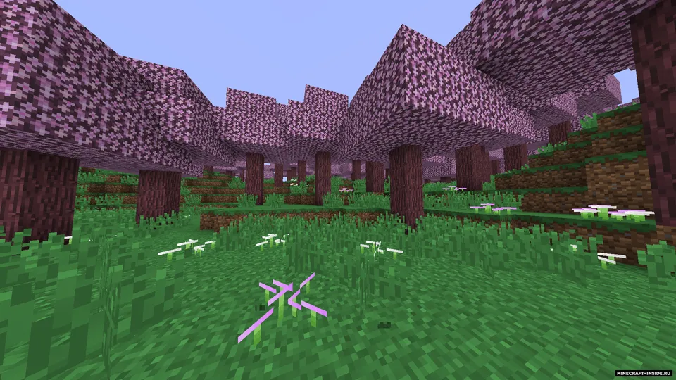 Nanex's Biomes — Minecraft mod, rasm 3