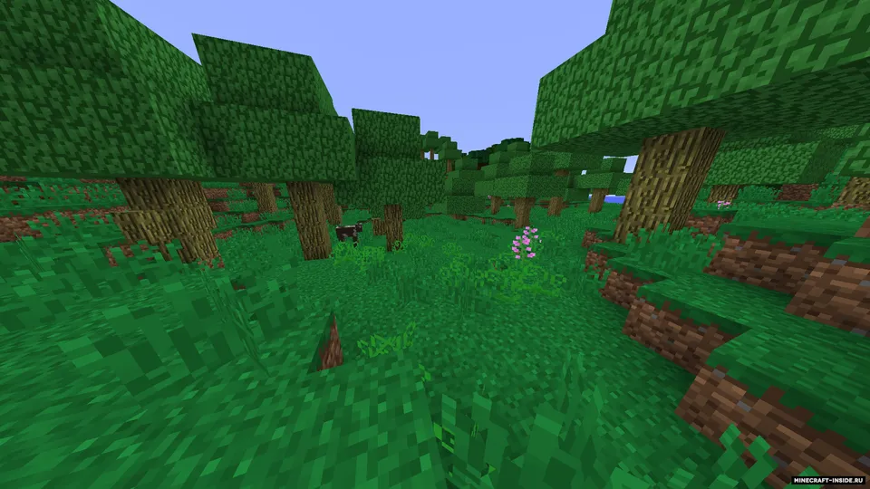 Nanex's Biomes — Minecraft mod, rasm 6