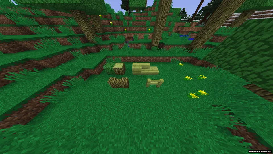 Nanex's Biomes — Minecraft mod, rasm 7