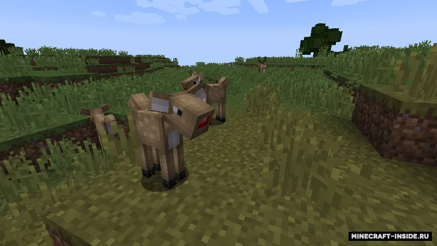 Mystic World — Minecraft mod, rasm 2