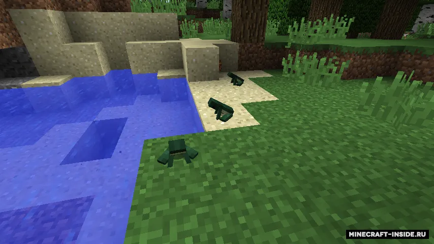 Mystic World — Minecraft mod, rasm 6