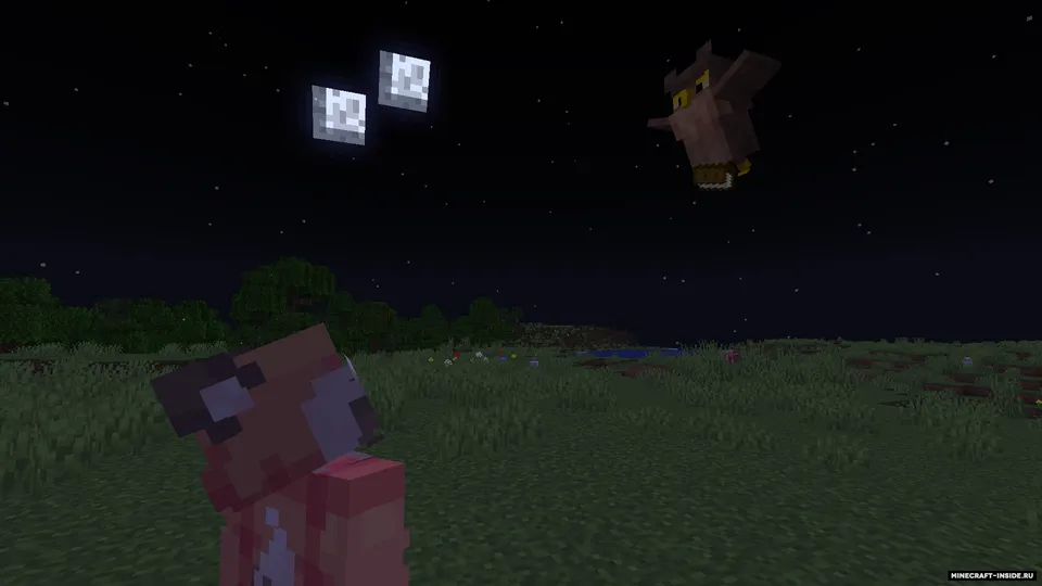 Feathery Messengers — Minecraft mod, rasm 3