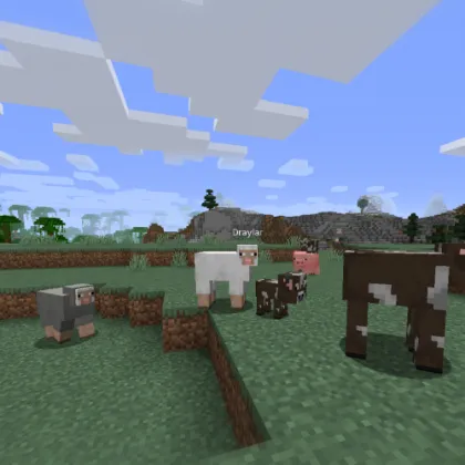 Identity — Minecraft mod, rasm 1