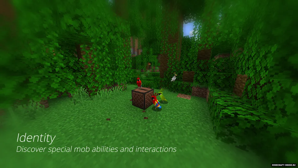 Identity — Minecraft mod, rasm 2