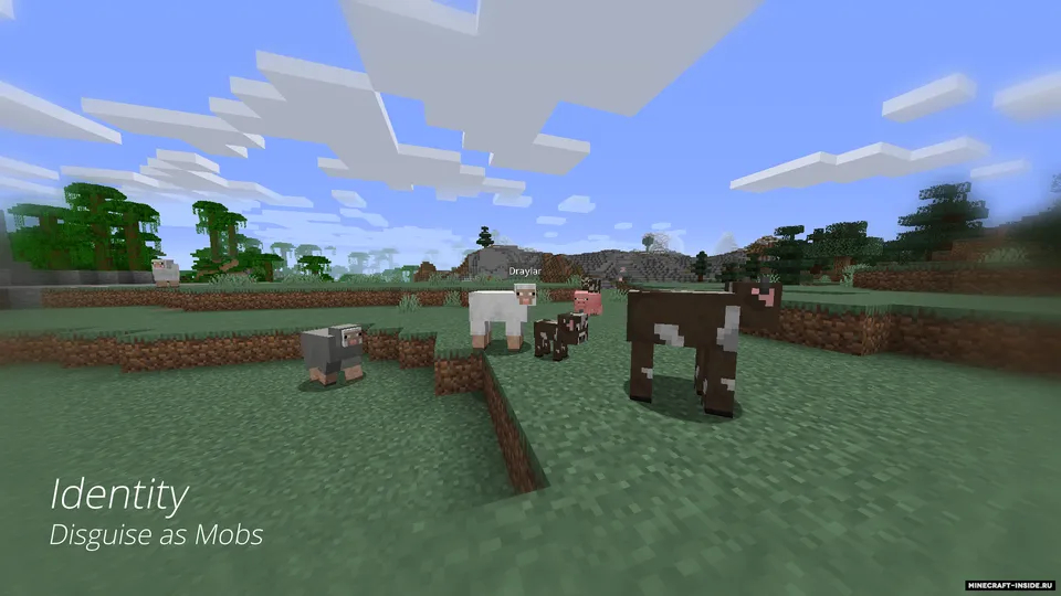 Identity — Minecraft mod, rasm 6
