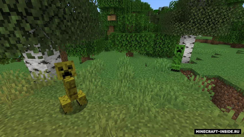 Biome Creeper — Minecraft mod, rasm 2