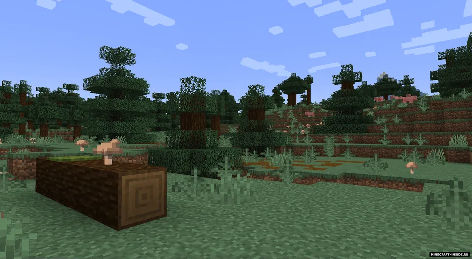 Diversify — Minecraft mod, rasm 3