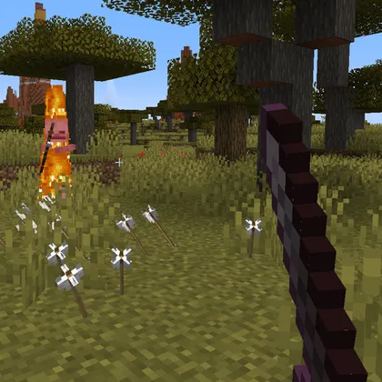 Sword Parry — Minecraft mod, rasm 1