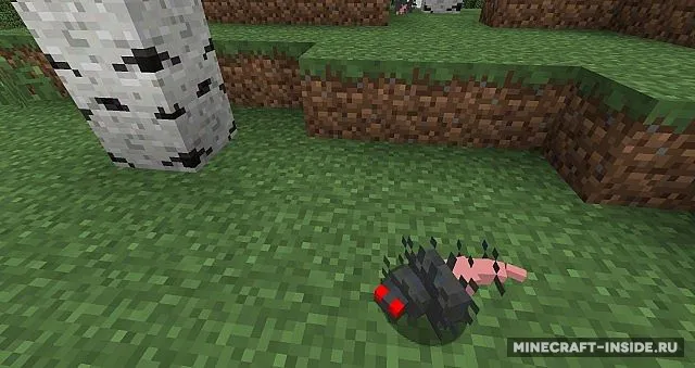 DiseaseCraft — Minecraft mod, rasm 2