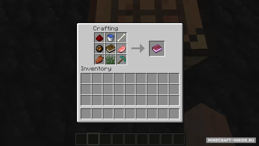 DiseaseCraft — Minecraft mod, rasm 3