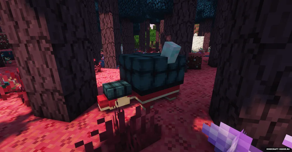 Dreamland Biomes — Minecraft mod, rasm 2