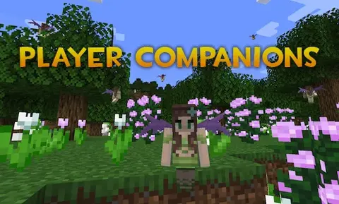 Player Companions
