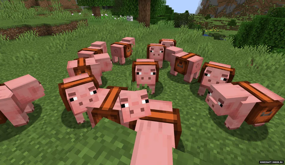 Player Companions — Minecraft mod, rasm 6