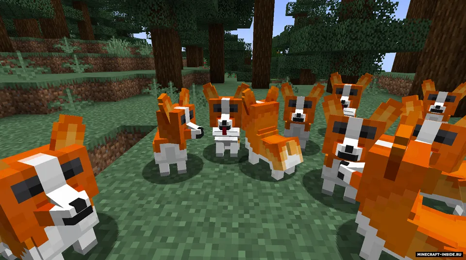 Player Companions — Minecraft mod, rasm 8