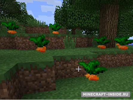 ChocoCraft — Minecraft mod, rasm 3