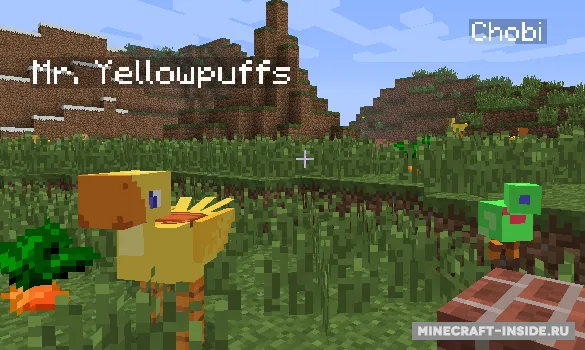 ChocoCraft — Minecraft mod, rasm 8