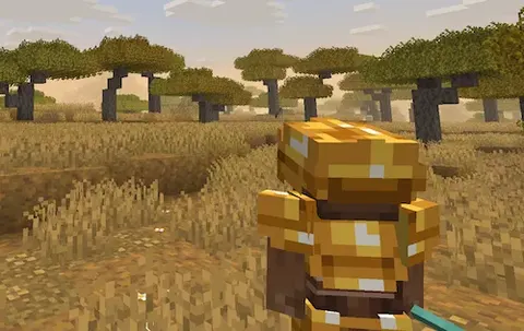 3rd Person Camera