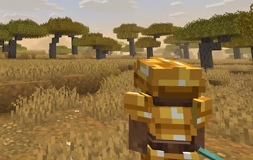 3rd Person Camera — Minecraft mod, rasm 1