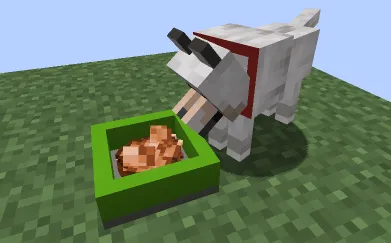 Doggo Mod Overhauled — Minecraft mod, rasm 4
