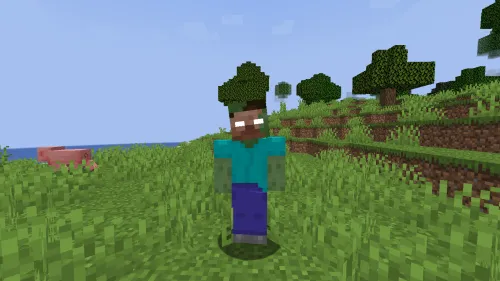 Really zomcore — Minecraft mod, rasm 1