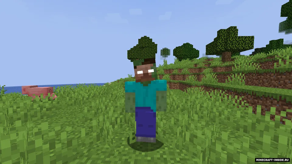 Really zomcore — Minecraft mod, rasm 5