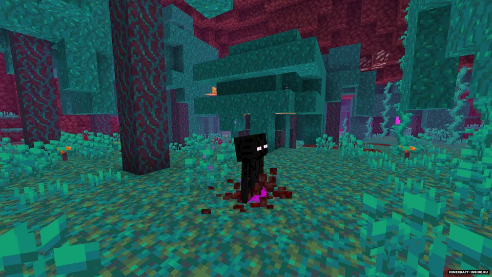 Spawn Animations — Minecraft mod, rasm 6
