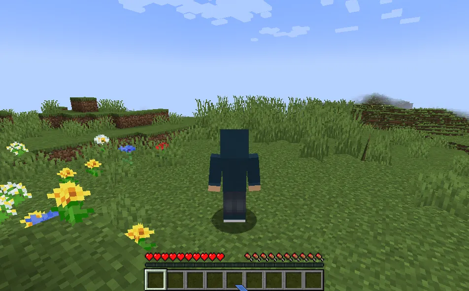 Combat Roll — Minecraft mod, rasm 6
