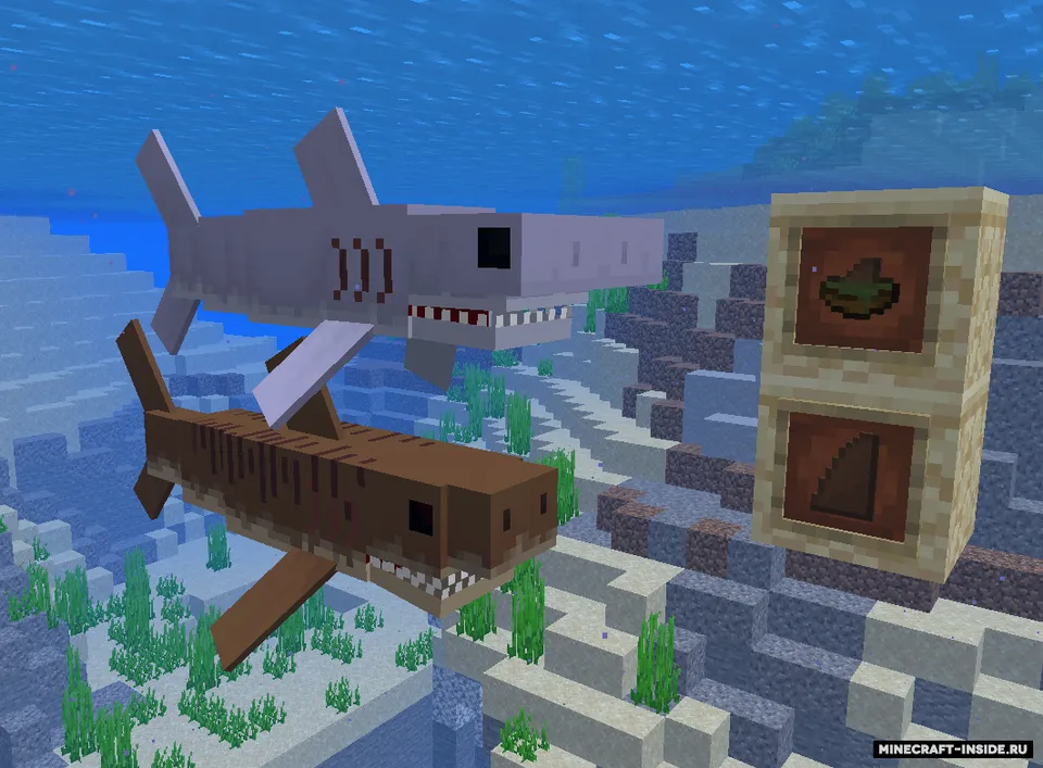 Sharks — Minecraft mod, rasm 3