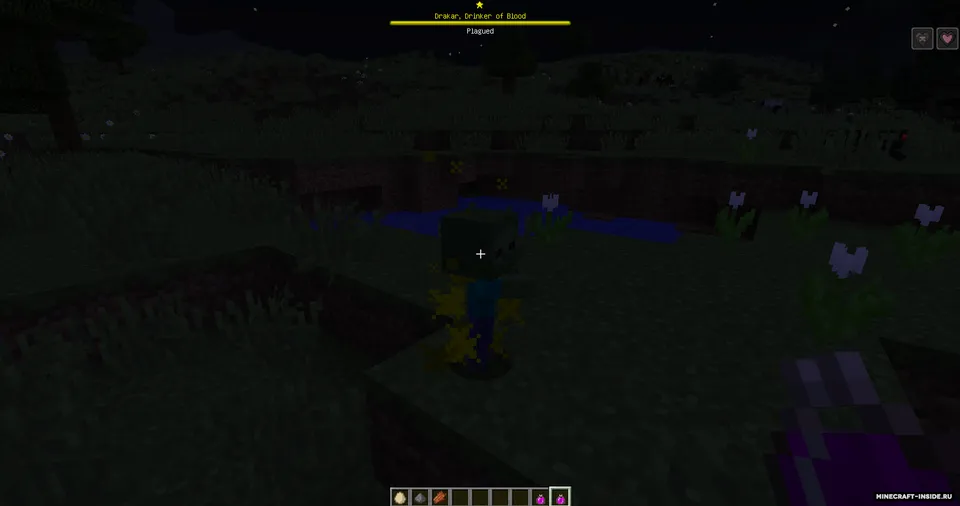 Champions — Minecraft mod, rasm 1